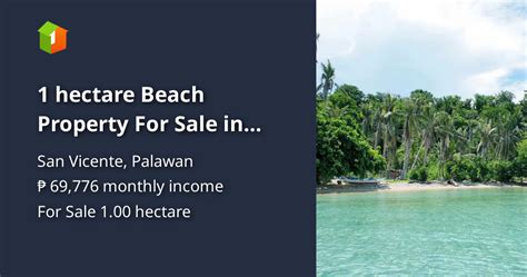 129 properties for sale in San Vicente, Palawan .